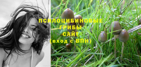 прущий лед Балахна