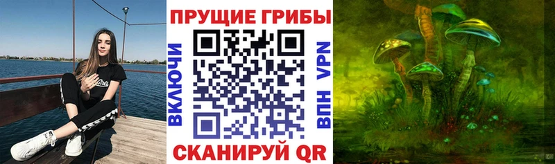 Галлюциногенные грибы MAGIC MUSHROOMS  Петушки 